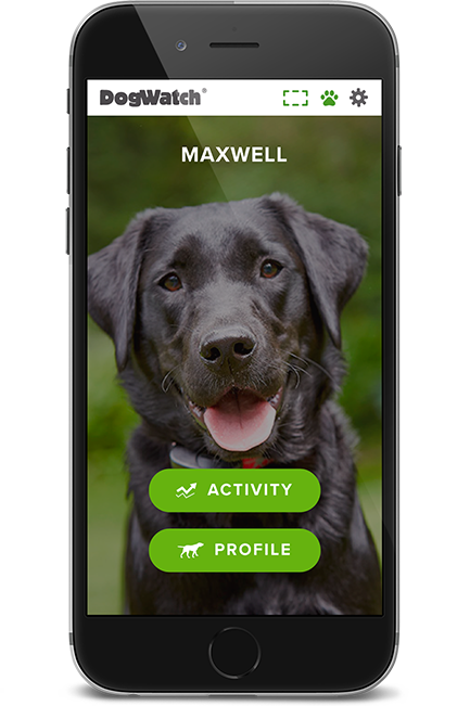 DogWatch of Charlotte, Huntersville, North Carolina | SmartFence WebApp Image