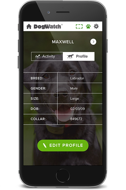 DogWatch of Charlotte, Huntersville, North Carolina | SmartFence WebApp Image