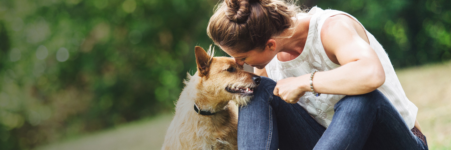 DogWatch of Charlotte, Huntersville, North Carolina | BarkCollar No-Bark Trainer Slider Image